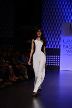 Model walk the ramp for Global Desi show at LFW 2013 Day 3 in Grand Haytt, Mumbai on 25th Aug 2013 (37).JPG